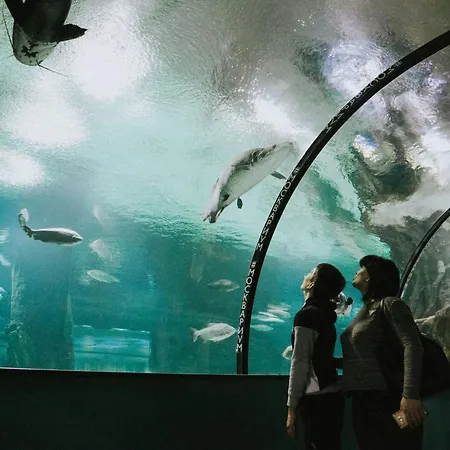 Apartment Neobeds - Stylish Modern 1br Near Old Town & Steps From Turia Park