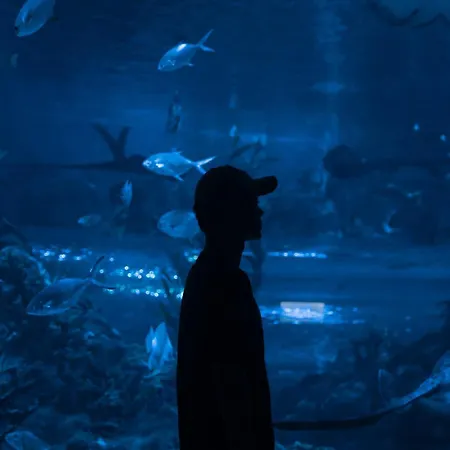 Neobeds - Stylish Modern 1br Near Old Town & Steps From Turia Park Apartment Valencia